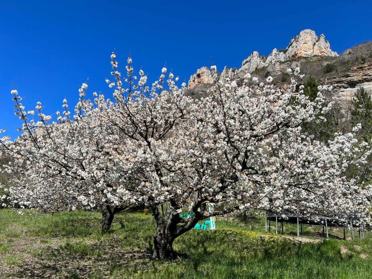 Gite Du Vallon Des Sources Millau Esterno foto